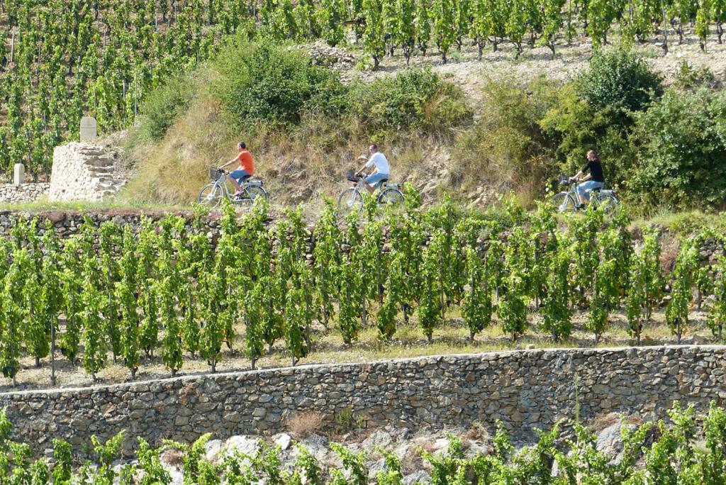 Gite Abricotier Crozes-Hermitage Exterior photo